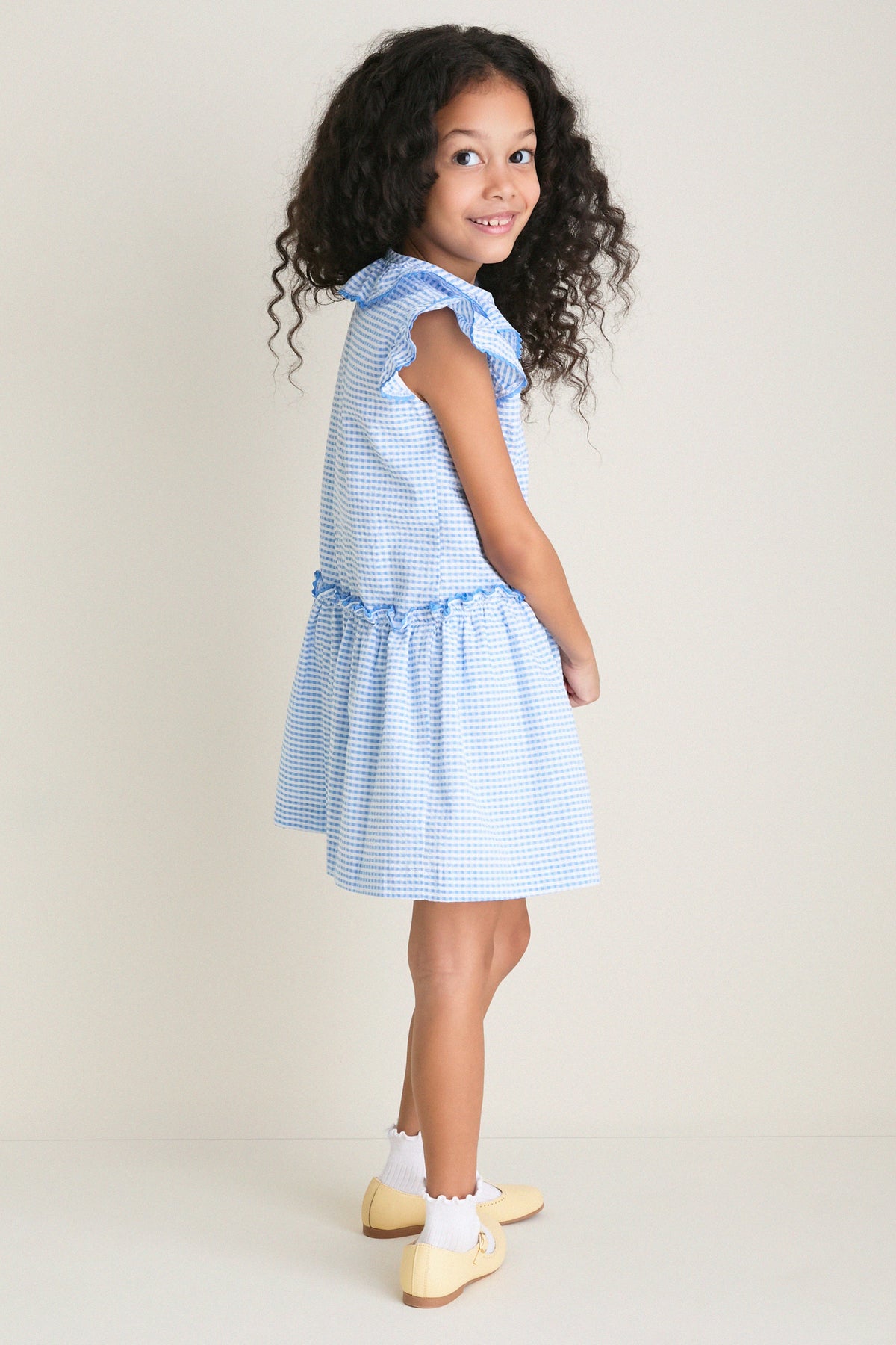 Blue Gingham Fabiola Drop Waist Dress