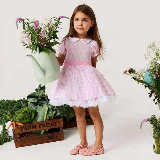 Garden Gingham Pink Petticoat Dress