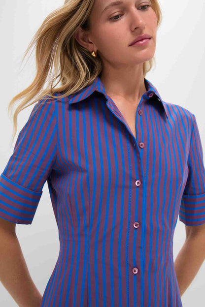 Atlas Stripe Joan Dress