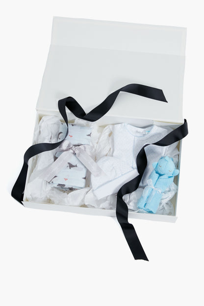 Blue Baby Boy Gift Bundle